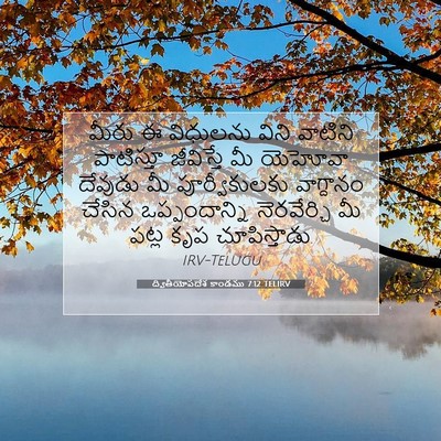 Picture 07 - ద్వితీయోపదేశ కాండము 7:12 TELIRV - మీరు ఈ విధులను - Bible Verse Picture