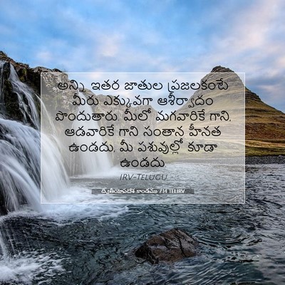 Picture 07 - ద్వితీయోపదేశ కాండము 7:14 TELIRV - అన్ని ఇతర జాతుల - Bible Verse Picture