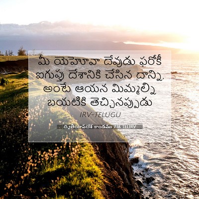 Picture 07 - ద్వితీయోపదేశ కాండము 7:18 TELIRV - మీ యెహోవా దేవుడు - Bible Verse Picture