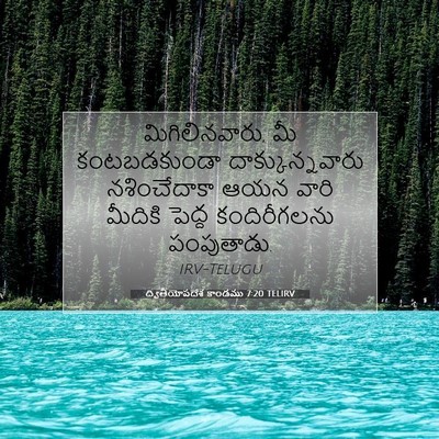 Picture 07 - ద్వితీయోపదేశ కాండము 7:20 TELIRV - మిగిలినవారు, మీ - Bible Verse Picture