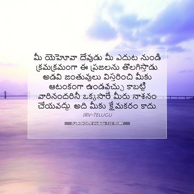 Picture 07 - ద్వితీయోపదేశ కాండము 7:22 TELIRV - మీ యెహోవా దేవుడు - Bible Verse Picture