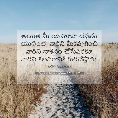 Picture 07 - ద్వితీయోపదేశ కాండము 7:23 TELIRV - అయితే మీ యెహోవా - Bible Verse Picture