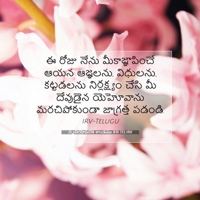 Picture 07 - ద్వితీయోపదేశ కాండము 8:11 TELIRV - ఈ రోజు నేను - Bible Verse Picture