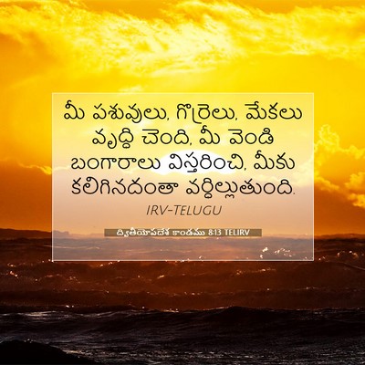 Picture 07 - ద్వితీయోపదేశ కాండము 8:13 TELIRV - మీ పశువులు, - Bible Verse Picture