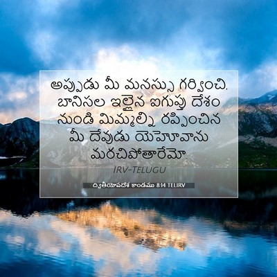 Picture 07 - ద్వితీయోపదేశ కాండము 8:14 TELIRV - అప్పుడు మీ మనస్సు - Bible Verse Picture