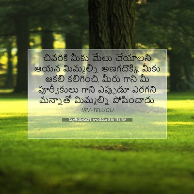 Picture 07 - ద్వితీయోపదేశ కాండము 8:16 TELIRV - చివరికి మీకు మేలు - Bible Verse Picture