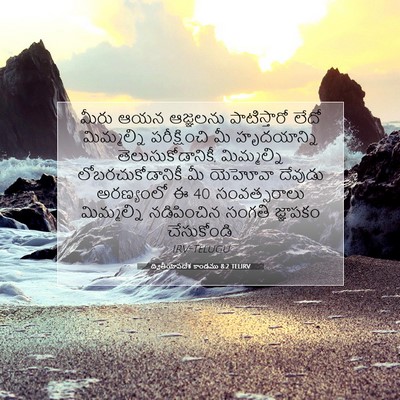 Picture 07 - ద్వితీయోపదేశ కాండము 8:2 TELIRV - మీరు ఆయన ఆజ్ఞలను - Bible Verse Picture