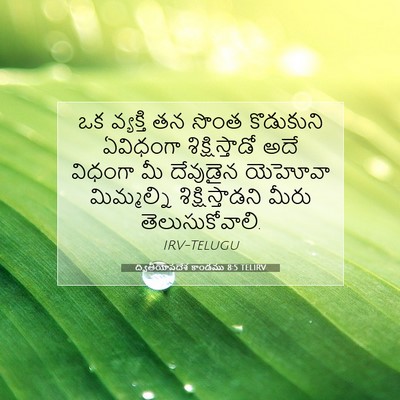 Picture 07 - ద్వితీయోపదేశ కాండము 8:5 TELIRV - ఒక వ్యక్తి తన సొంత - Bible Verse Picture