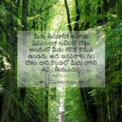 Picture 07 - ద్వితీయోపదేశ కాండము 8:9 TELIRV - మీరు తినడానికి - Bible Verse Picture