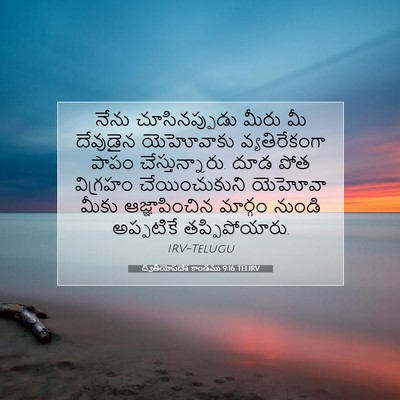 Picture 07 - ద్వితీయోపదేశ కాండము 9:16 TELIRV - నేను చూసినప్పుడు - Bible Verse Picture
