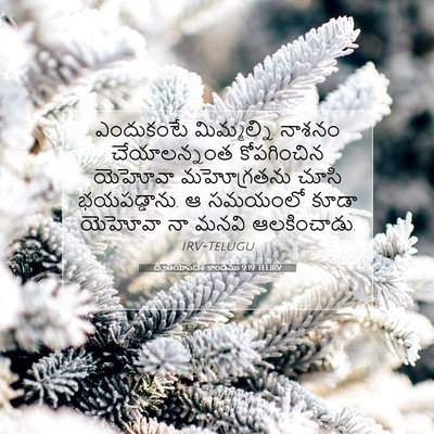 Picture 07 - ద్వితీయోపదేశ కాండము 9:19 TELIRV - ఎందుకంటే - Bible Verse Picture