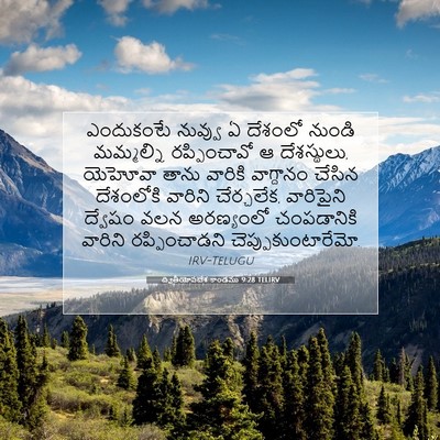 Picture 07 - ద్వితీయోపదేశ కాండము 9:28 TELIRV - ఎందుకంటే నువ్వు ఏ - Bible Verse Picture