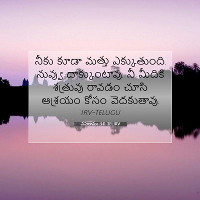 Picture 07 - నహూము 3:11 TELIRV - నీకు కూడా మత్తు - Bible Verse Picture