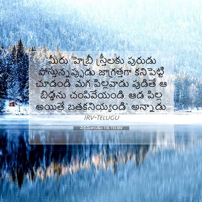 Picture 07 - నిర్గమకాండం 1:16 TELIRV - “మీరు హెబ్రీ - Bible Verse Picture