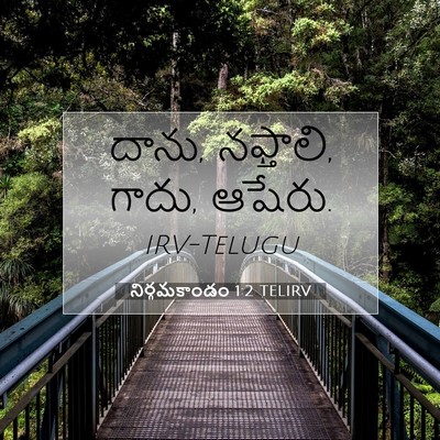 Picture 07 - నిర్గమకాండం 1:2 TELIRV - దాను, నఫ్తాలి, - Bible Verse Picture