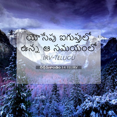 Picture 07 - నిర్గమకాండం 1:4 TELIRV - యోసేపు ఐగుప్తులో - Bible Verse Picture
