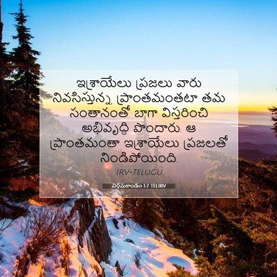 Picture 07 - నిర్గమకాండం 1:7 TELIRV - ఇశ్రాయేలు ప్రజలు - Bible Verse Picture