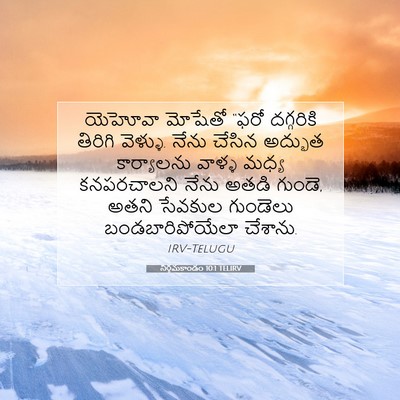 Picture 07 - నిర్గమకాండం 10:1 TELIRV - యెహోవా మోషేతో - Bible Verse Picture