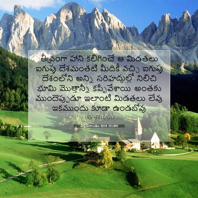 Picture 07 - నిర్గమకాండం 10:14 TELIRV - తీవ్రంగా హాని - Bible Verse Picture