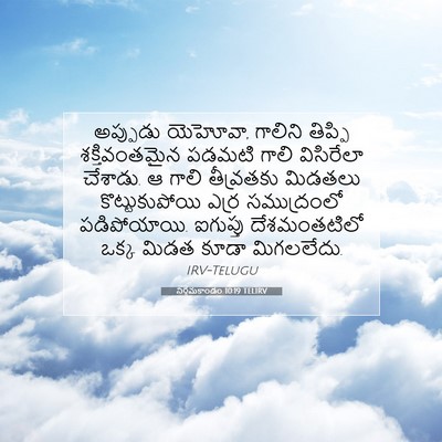 Picture 07 - నిర్గమకాండం 10:19 TELIRV - అప్పుడు యెహోవా, - Bible Verse Picture