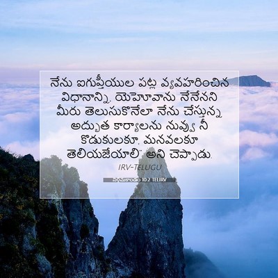 Picture 07 - నిర్గమకాండం 10:2 TELIRV - నేను ఐగుప్తీయుల - Bible Verse Picture