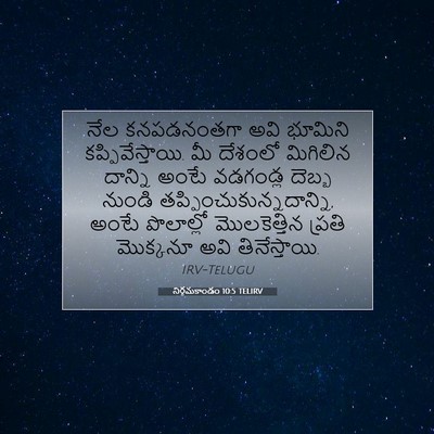 Picture 07 - నిర్గమకాండం 10:5 TELIRV - నేల కనపడనంతగా అవి - Bible Verse Picture