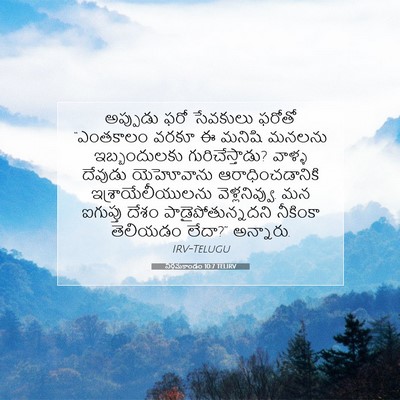 Picture 07 - నిర్గమకాండం 10:7 TELIRV - అప్పుడు ఫరో - Bible Verse Picture