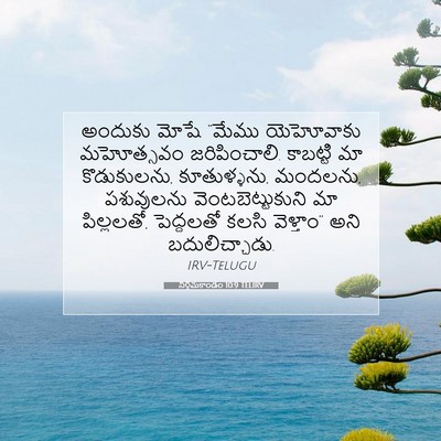 Picture 07 - నిర్గమకాండం 10:9 TELIRV - అందుకు మోషే “మేము - Bible Verse Picture