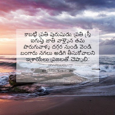 Picture 07 - నిర్గమకాండం 11:2 TELIRV - కాబట్టి ప్రతి - Bible Verse Picture