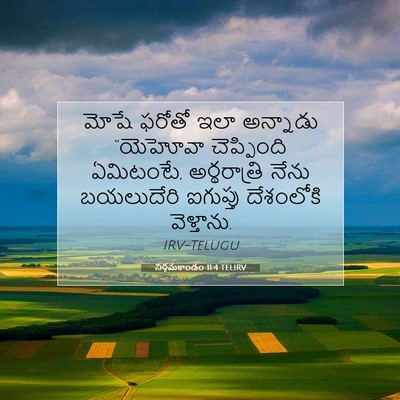 Picture 07 - నిర్గమకాండం 11:4 TELIRV - మోషే ఫరోతో ఇలా - Bible Verse Picture