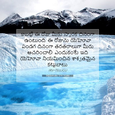 Picture 07 - నిర్గమకాండం 12:14 TELIRV - కాబట్టి ఈ రోజు - Bible Verse Picture