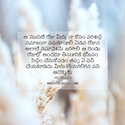 Picture 07 - నిర్గమకాండం 12:16 TELIRV - ఆ మొదటి రోజు మీరు - Bible Verse Picture