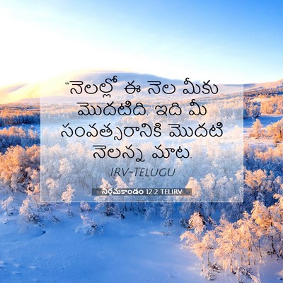 Picture 07 - నిర్గమకాండం 12:2 TELIRV - “నెలల్లో ఈ నెల - Bible Verse Picture