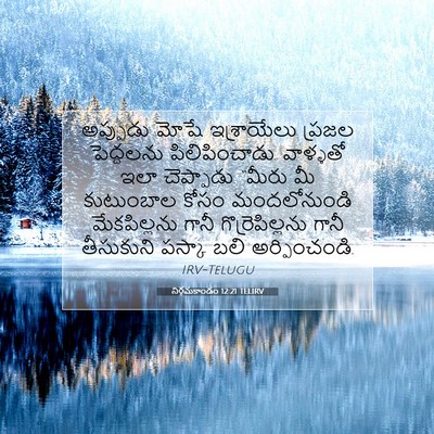 Picture 07 - నిర్గమకాండం 12:21 TELIRV - అప్పుడు మోషే - Bible Verse Picture
