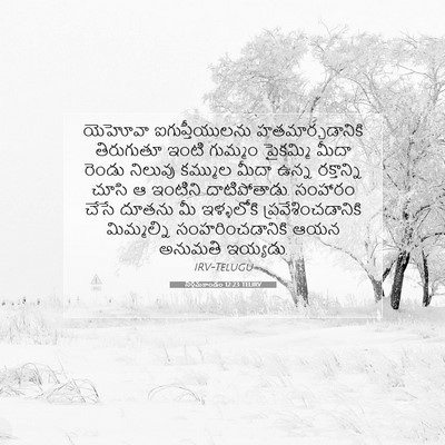 Picture 07 - నిర్గమకాండం 12:23 TELIRV - యెహోవా - Bible Verse Picture