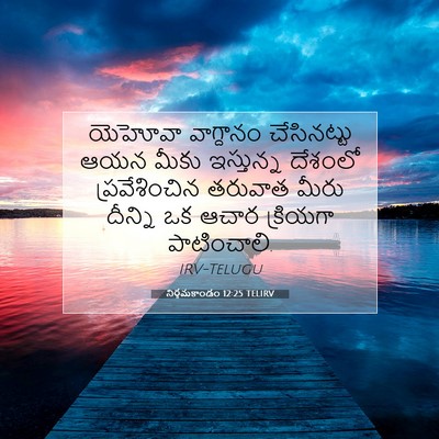Picture 07 - నిర్గమకాండం 12:25 TELIRV - యెహోవా వాగ్దానం - Bible Verse Picture