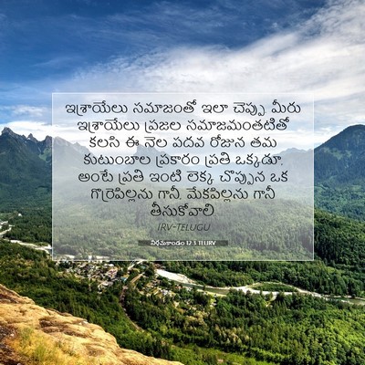 Picture 07 - నిర్గమకాండం 12:3 TELIRV - ఇశ్రాయేలు సమాజంతో - Bible Verse Picture
