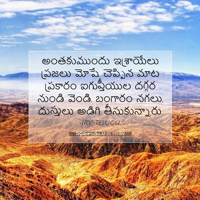 Picture 07 - నిర్గమకాండం 12:35 TELIRV - అంతకుముందు - Bible Verse Picture