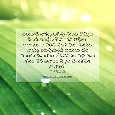 Picture 07 - నిర్గమకాండం 12:39 TELIRV - తరువాత వాళ్ళు - Bible Verse Picture
