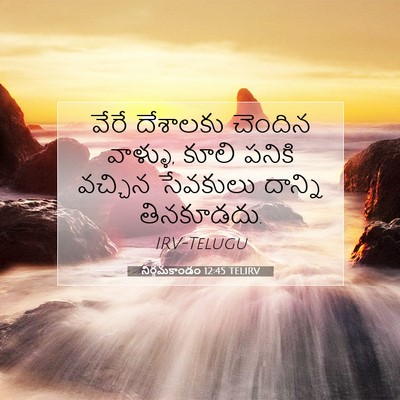 Picture 07 - నిర్గమకాండం 12:45 TELIRV - వేరే దేశాలకు - Bible Verse Picture