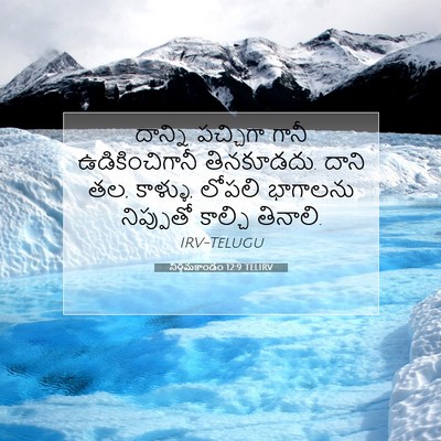 Picture 07 - నిర్గమకాండం 12:9 TELIRV - దాన్ని పచ్చిగా - Bible Verse Picture