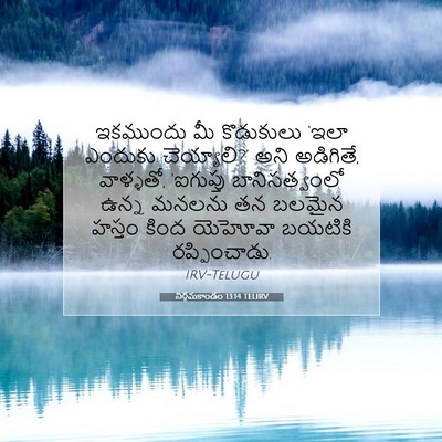 Picture 07 - నిర్గమకాండం 13:14 TELIRV - ఇకముందు మీ - Bible Verse Picture