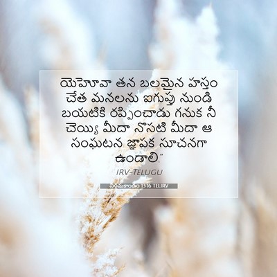 Picture 07 - నిర్గమకాండం 13:16 TELIRV - యెహోవా తన బలమైన - Bible Verse Picture