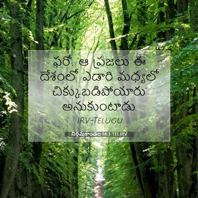 Picture 07 - నిర్గమకాండం 14:3 TELIRV - ఫరో, ‘ఆ ప్రజలు ఈ - Bible Verse Picture