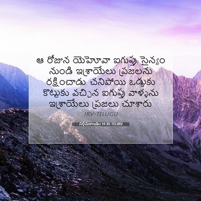Picture 07 - నిర్గమకాండం 14:30 TELIRV - ఆ రోజున యెహోవా - Bible Verse Picture