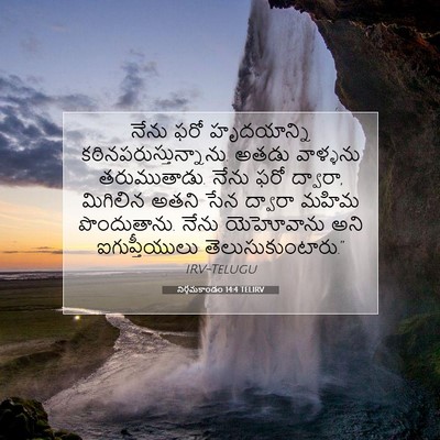 Picture 07 - నిర్గమకాండం 14:4 TELIRV - నేను ఫరో - Bible Verse Picture