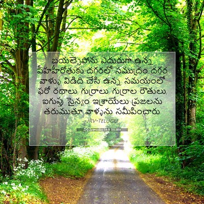 Picture 07 - నిర్గమకాండం 14:9 TELIRV - బయల్సెఫోను - Bible Verse Picture