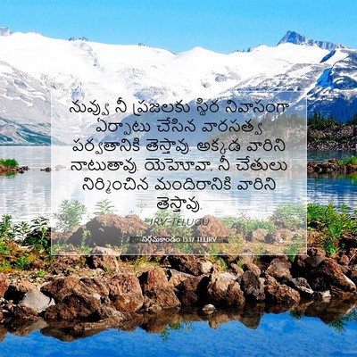 Picture 07 - నిర్గమకాండం 15:17 TELIRV - నువ్వు నీ ప్రజలకు - Bible Verse Picture