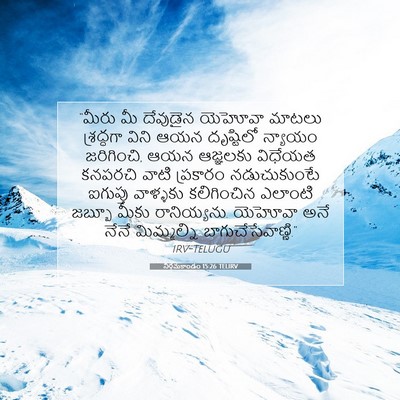 Picture 07 - నిర్గమకాండం 15:26 TELIRV - “మీరు మీ దేవుడైన - Bible Verse Picture