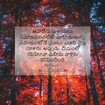Picture 07 - నిర్గమకాండం 16:10 TELIRV - అహరోను ఇశ్రాయేలు - Bible Verse Picture